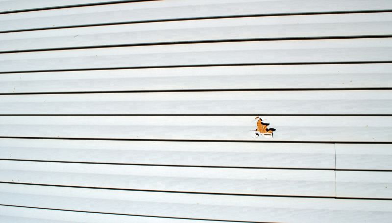 Sealing and Securing Siding