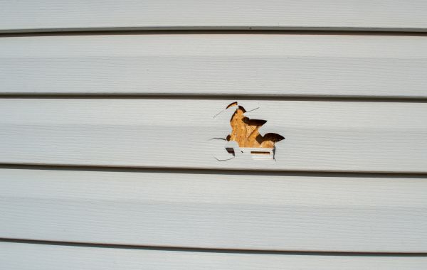 Cost of Siding Hole Patching in Camas