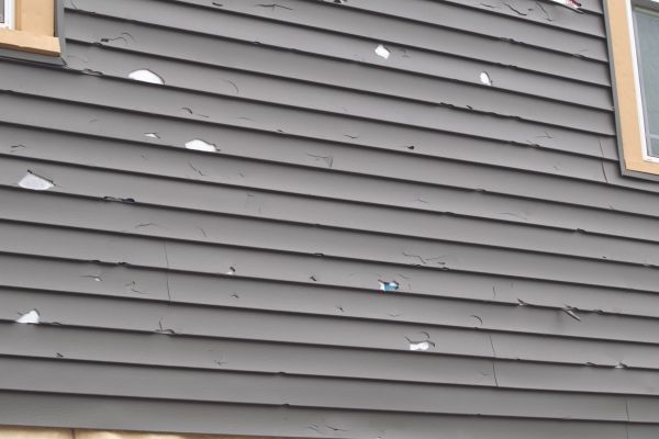 Cost of Damaged Siding Replacement in Camas