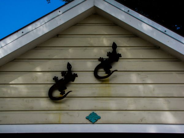 Cost of Shiplap Siding Installation in Camas
